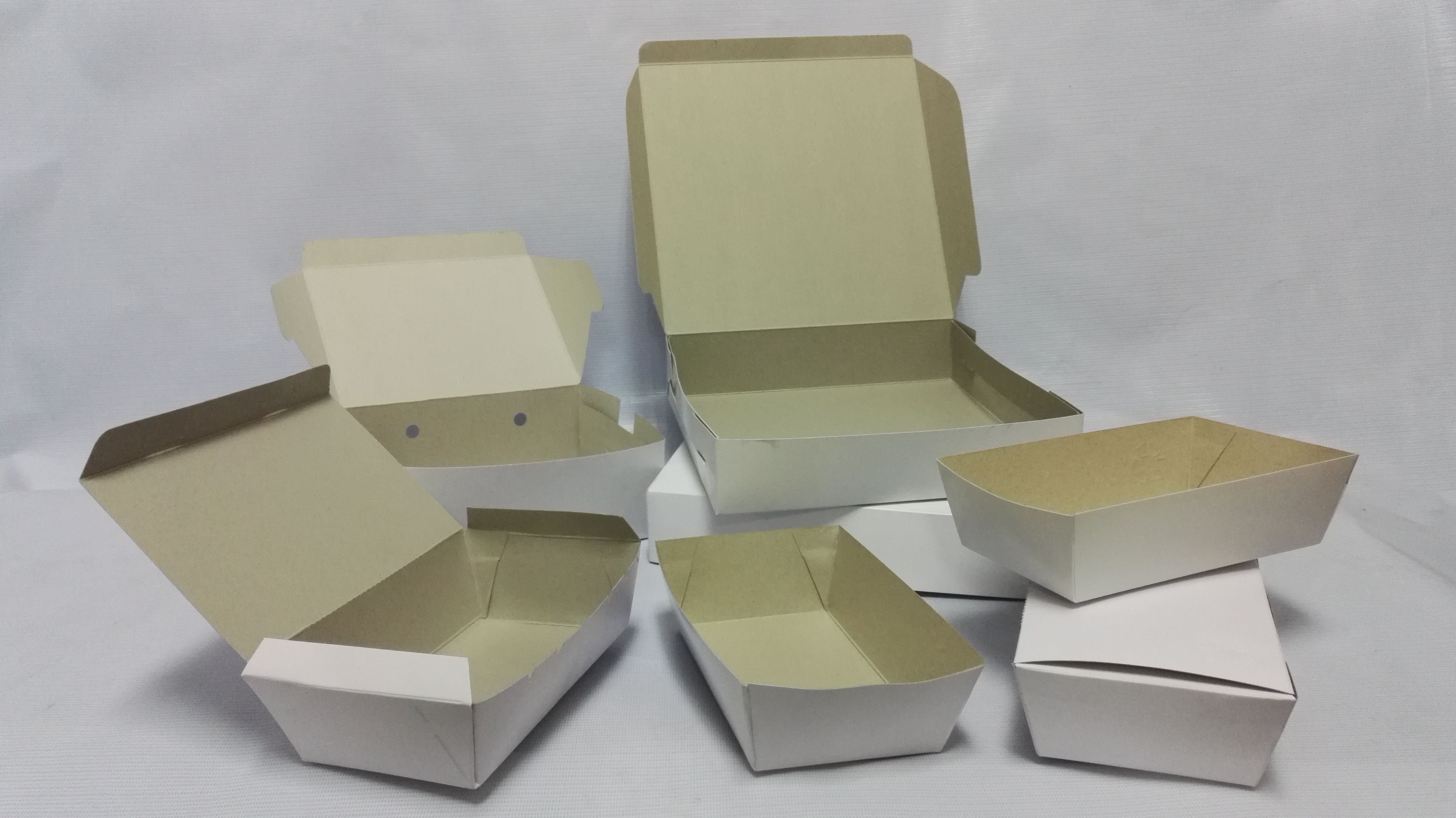 Disposable Biodegrade-able Food Grade Paper Box